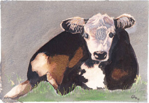 The Calf by Glyn Williams