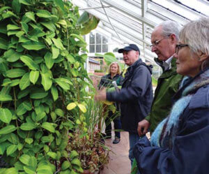 Pictures from the Greenhouse at Croome Walled Garden