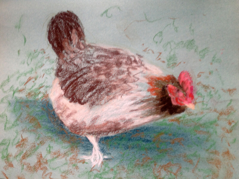 Chicken by Jenny Devos