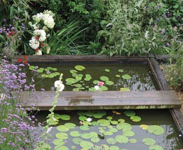 Hazel Green's garden pond